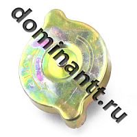 А21.01.270 Крышка радиатора большая с резинкой (А)