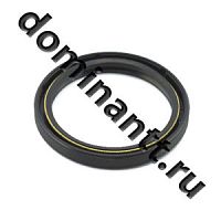 Сальник 2,2-80х100-10