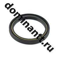 Сальник 2,2-80х100-10