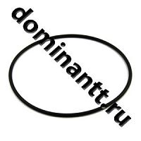 110-115-30-1-4 Кольцо