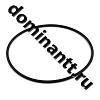 110-115-30-1-4 Кольцо