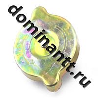 А21.01.270 Крышка радиатора большая с резинкой (А)