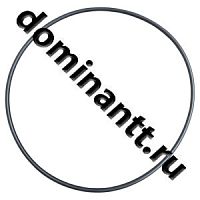113,00х3,0 Кольцо уплотнительное корпуса ротора центробежного маслянного фильтра Д-243