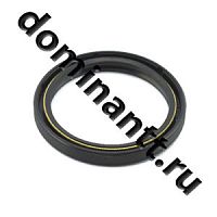 Сальник 2,2-80х100-10