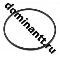 Кольцо 095-100-300