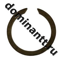 915243 Кольцо стопорное С25 наружное ГОСТ 13940-86