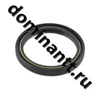 Сальник 2,2-80х100-10