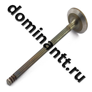 3LD-1007015 Клапан выпускной МТЗ-320 ММЗ 3LD-1007015 Клапан выпускной МТЗ-320 ММЗ